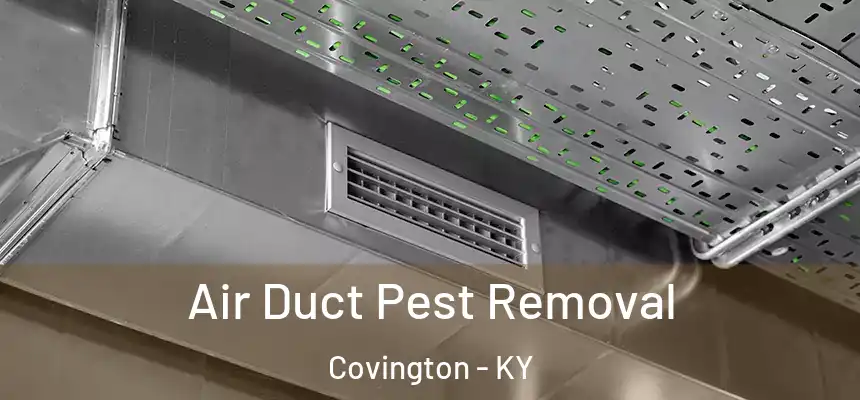  Air Duct Pest Removal Covington - KY