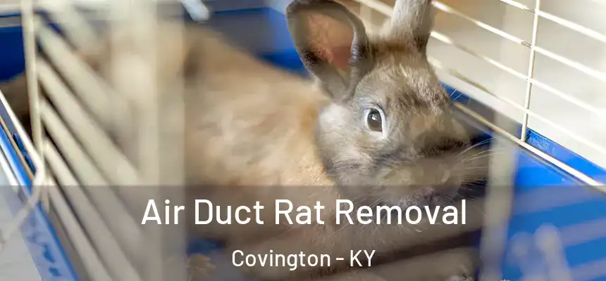 Air Duct Rat Removal Covington - KY
