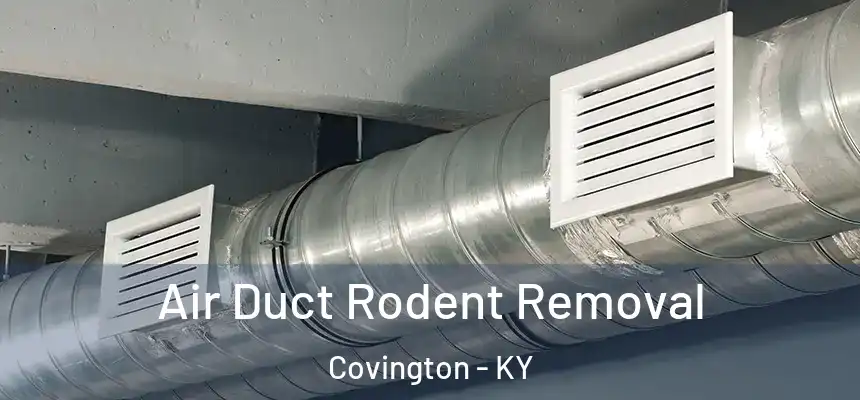  Air Duct Rodent Removal Covington - KY