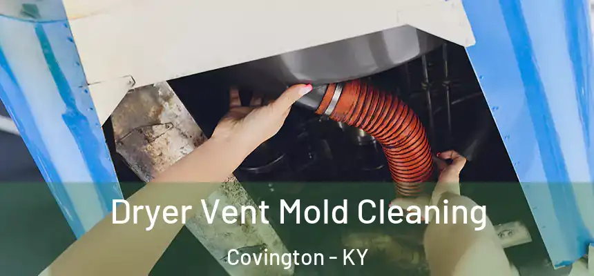 Dryer Vent Mold Cleaning Covington - KY