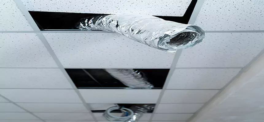 Our Air Duct Pet Hair Removal Services in Covington, KY