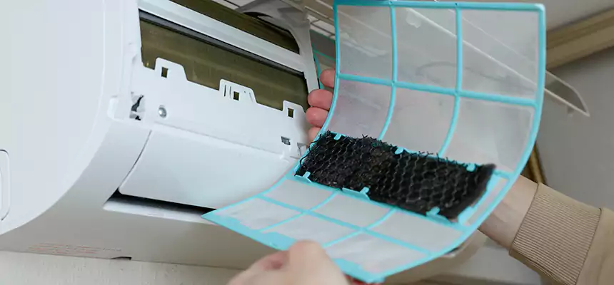 Gentle Ductwork Odor-Control Pet Dander Duct Cleaning in Covington, KY