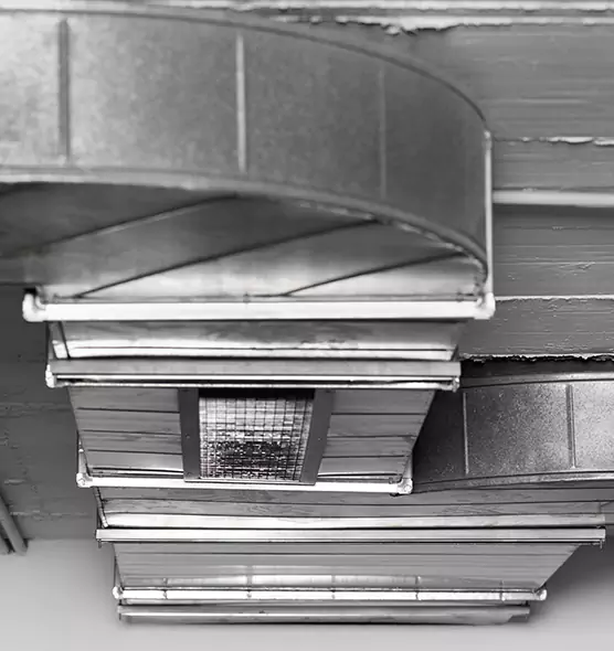 Professional Air Duct Pest Removal in Covington, KY