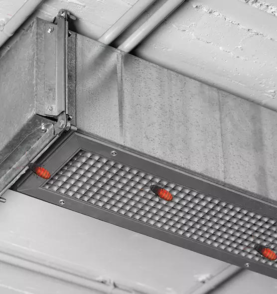 Affordable Insect Removal from Air Ducts in Covington, KY