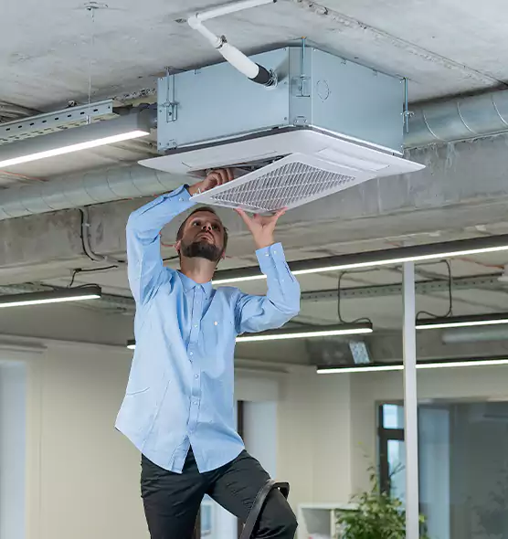 Advanced Rodent Droppings In Vents in Covington, KY