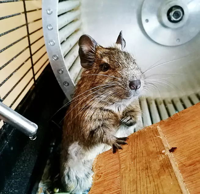 Why Homeowners & Businesses Trust Us Covington, KY?