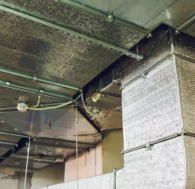 Why Homeowners & Businesses Trust Us in Covington, KY?